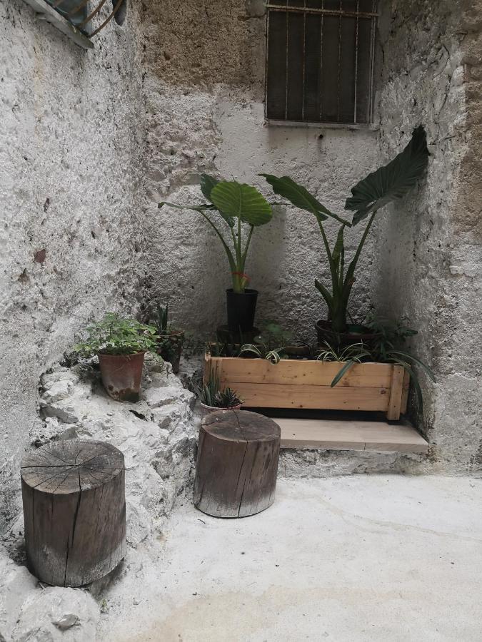 Casa Vacanze B&B Ondes Camerota Exteriör bild